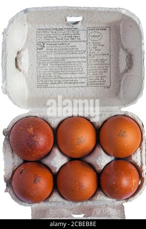 M&S British Farmed Free Range 6 Maran Island uova marroni - scatola di uovo scatola di cartone Eggbox aperto per mostrare il contenuto Foto Stock