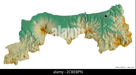 Forma di Tottori, prefettura del Giappone, con la sua capitale isolata su sfondo bianco. Mappa di rilievo topografico. Rendering 3D Foto Stock