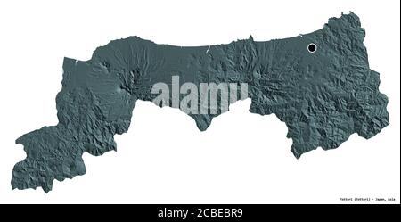 Forma di Tottori, prefettura del Giappone, con la sua capitale isolata su sfondo bianco. Mappa di elevazione colorata. Rendering 3D Foto Stock