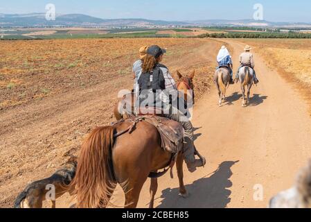 Passeggiate a cavallo nella valle di Jezreel, Israele. Foto Stock