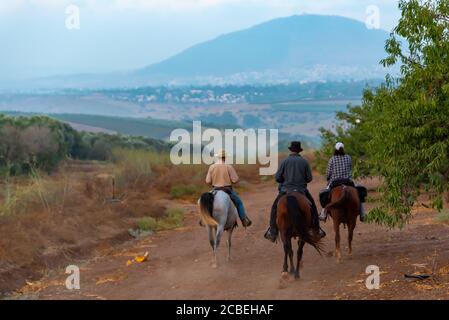 Passeggiate a cavallo nella valle di Jezreel, Israele. Mount Tabor può essere visto in background Foto Stock