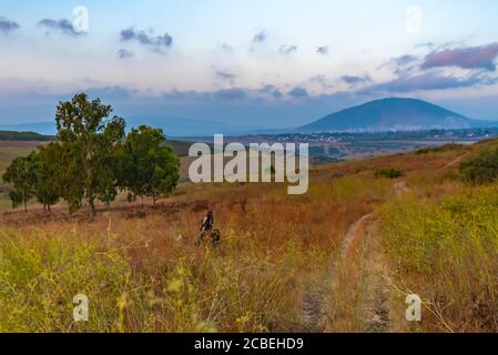 Passeggiate a cavallo nella valle di Jezreel, Israele. Mount Tabor può essere visto in background Foto Stock