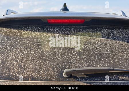 veicolo 4wd con lunotto coperto di polvere. Trasmissione fuoristrada Foto Stock