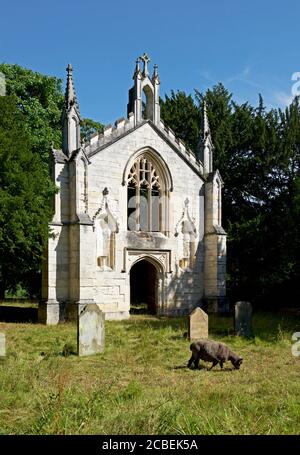 I resti della vecchia chiesa di St Andrew nel villaggio di Bishopthorpe, North Yorkshire, Inghilterra Regno Unito Foto Stock