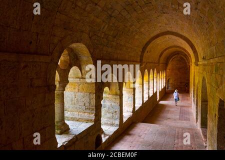 Abbazia di le Thoronet, l'Abbaye du Thoronet, Dipartimento del Var, architettura cistercense, Provenza, Francia, Europa Foto Stock