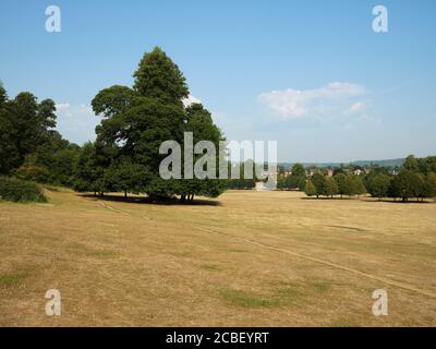 Il paesaggio estivo del parco del Priorato di Reigate a Reigate Surrey Inghilterra UK 2020 Foto Stock