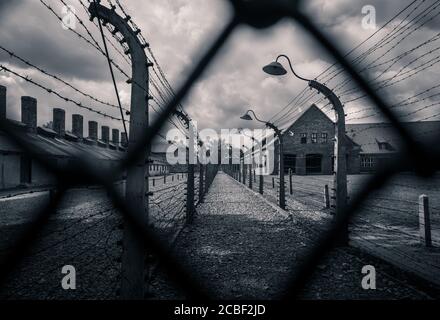 Museo Memoriale dell'Olocausto ad Auschwitz Foto Stock