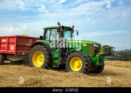 EAR di grano, attività agricola, attrezzatura agricola, campo agricolo, macchinari agricoli, Agricoltura, Agosto, cereali pianta, mietitrebbia Foto Stock