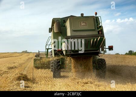 EAR di grano, attività agricola, attrezzatura agricola, campo agricolo, macchinari agricoli, Agricoltura, Agosto, cereali pianta, mietitrebbia Foto Stock