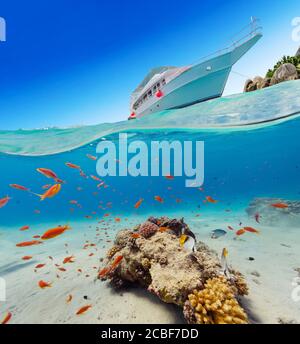 Vista sotto e sopra la superficie dell'acqua della barriera corallina. Fauna e flora sottomarine, vita marina, isola esotica e yacht ancorante sullo sfondo Foto Stock