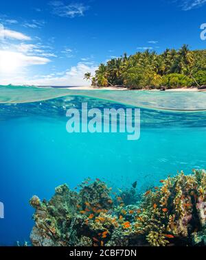 Vista sotto e sopra la superficie dell'acqua della barriera corallina. Fauna e flora sottomarine, vita marina e isola esotica sullo sfondo Foto Stock