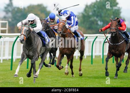 Ryan Tate Riding Alpinista (a sinistra) vince il British Stallion Stups EBF Upavon Fillies' Stakes all'ippodromo di Salisbury il 13 agosto 2020 a Salisbury, Inghilterra. I proprietari sono autorizzati a partecipare se hanno un corridore alla riunione altrimenti la corsa rimane dietro le porte chiuse al pubblico a causa della pandemia di Coronavirus. (Foto di Alan Crowhurst/Getty Images) all'ippodromo di Salisbury, Wiltshire. Foto Stock