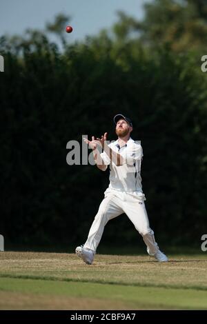 Giocatore di cricket che cattura la palla di cricket Foto Stock