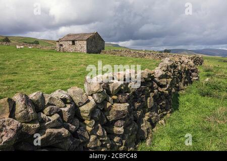 Tipico paesaggio delle valli dello Yorkshire con muraglia in pietra a secco e fienile, vicino a Hawes, North Yorkshire Foto Stock