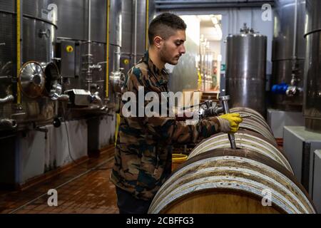 I dipendenti della cantina la Braccesca, nei pressi di Cortona in Toscana, lavorano alle vasche in acciaio inox e alle botti in rovere della cantina per la nuova produzione vinicola. Foto Stock