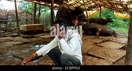 DISTRETTO KATNI, INDIA - 20 AGOSTO 2019: Un uomo cowherd indiano di villaggio che chiama il concetto del telefono mobile per l'apprendimento digitale della gente asiatica. Foto Stock