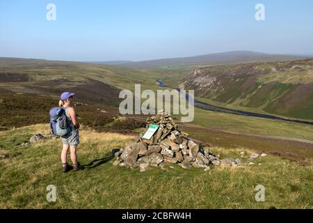 Walker godendo il da Cronkley cadde lungo il fiume Tees verso Falcon Clinton e Meldon Hill in estate, Teesdale County Durham, Regno Unito Foto Stock