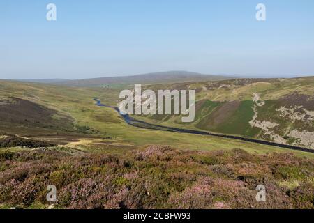 La vista da Man Gate su Cronkley cadde lungo i Tees River verso Falcon Clinton e Meldon Hill in un giorno caldo estivo, Teesdale County Durham, Regno Unito Foto Stock