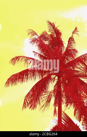 Immagine verticale di Abstract surreale Pop Art stile Red Palm Albero su cielo giallo Foto Stock