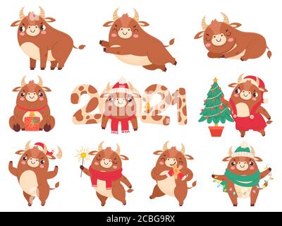 Bue carino. Colore tori cinese nuovo anno 2021 simbolo, animali con corna, mucche e famiglia di bufali per calendario o carte, cartoni animati serie vettoriale Illustrazione Vettoriale