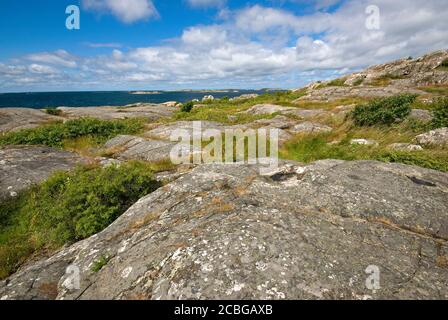 Paesaggio dell'isola di Vrango, arcipelago di Goteborg, Svezia Foto Stock