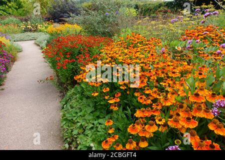 Rosemoor RHS Gardens, 'Hot Gardeb', Devon, Inghilterra, Regno Unito Foto Stock