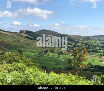 Hope Valley vista con albero di Rowan e bracken Foto Stock