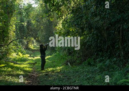 Una donna che fotografa uccelli nella foresta pluviale atlantica di Ubatuba, se Brasile Foto Stock
