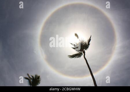 Sole Halo formato da cristalli di ghiaccio nei caraibi Foto Stock