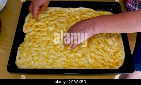 Le mani femminili posano l'impasto in una teglia da forno e preparano il pane con olio d'oliva. Impasto per pane. Preparazione della pizza Foto Stock