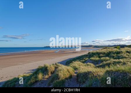 St Cyrus Beach nell'Aberdeenshire guardando a sud in una bella giornata d'autunno, con la spiaggia esposta dalla bassa marea che si estende in lontananza. Foto Stock