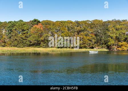 Scena tranquilla con una barca a remi ancorata in acque poco profonde in una palude con alberi colorati sullo sfondo di un soleggiato giorno d'autunno Foto Stock