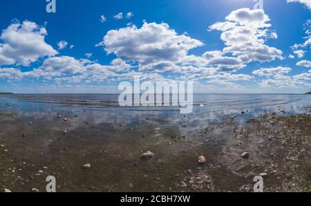 Mare paludoso. Panorama costiero. Mare con linea d'orizzonte. Costa con limo. Cielo con nuvole Foto Stock