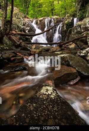 Rapide e Rose River Falls sullo sfondo con la lussureggiante foresta verde del Shenandoah National Park, Virginia, Stati Uniti Foto Stock