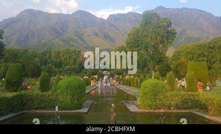 Edifici e costruzioni. Paesaggio verde bellezza risaie campi, natura paesaggistica. Piante verdi terre sembra bella estate e primavera. Foto Stock