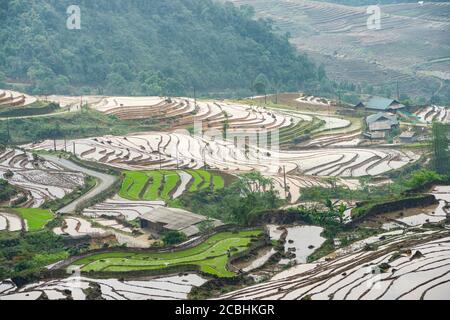 Terrazze di risaie. Vista sulle montagne nelle nuvole. Sapa, provincia di Lao Cai, Vietnam nord-occidentale Foto Stock