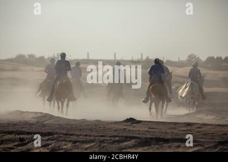 Gruppo di giovani cavalieri che praticano su un terreno desertico foto Foto Stock