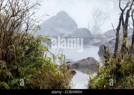 Cascata Athirapally vista frontale da verde foresta stock foto Foto Stock