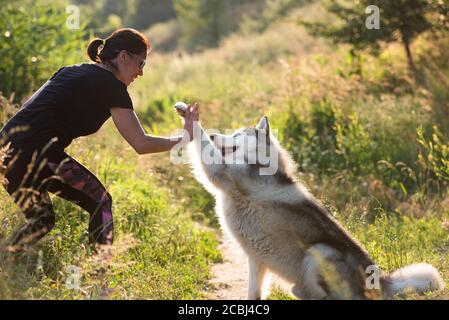 Bella donna che fa dare trucco zampa con malamuta alaskan su natura Foto Stock