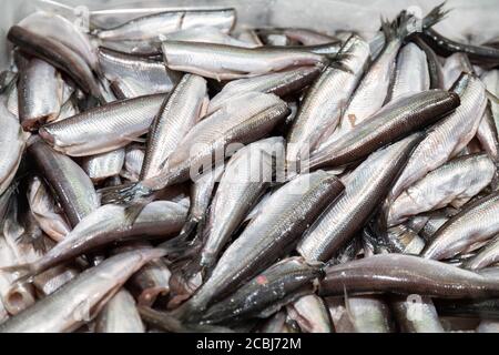 Vendace raccordi in vendita Foto Stock