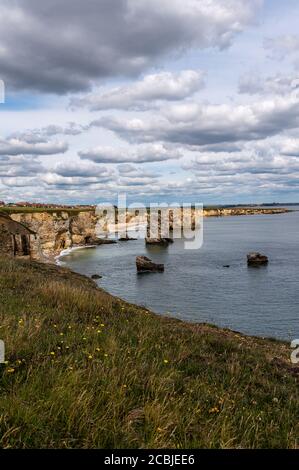 Marsden Rock, Marsden Bay, South Shields, Tyne and Wear, Regno Unito Foto Stock