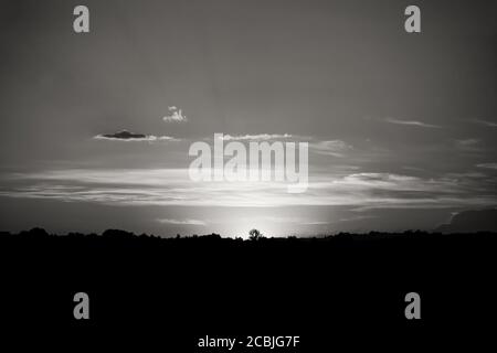 Tramonto. Nuvole sui contorni della foresta. Foto in bianco e nero Foto Stock