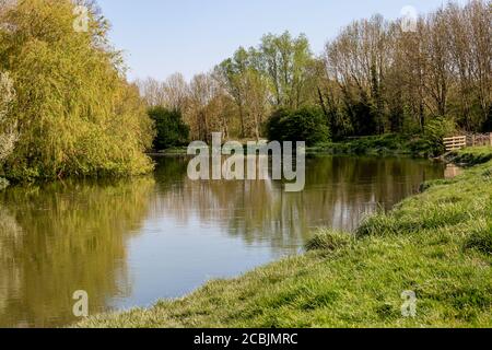 Guardando lungo il fiume Ouse vicino Lewes su un soleggiato giorno di primavera Foto Stock