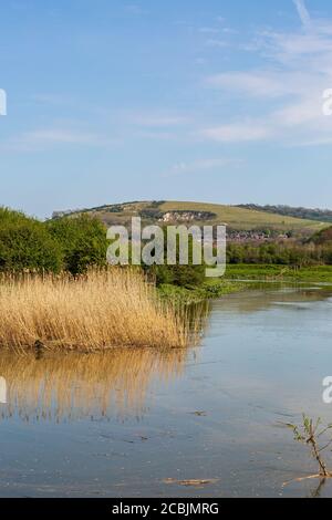 Guardando lungo il fiume Ouse vicino Lewes su un soleggiato giorno di primavera Foto Stock