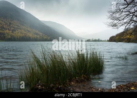 Nebbia e pioggia su Buttermere a Hassness Crag Wood nel Lake District National Park, Cumbria, Inghilterra. Foto Stock