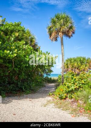 Percorso per Manasota Beach sul Golfo del Messico Manasota Key in Englewood Florida Stati Uniti Foto Stock