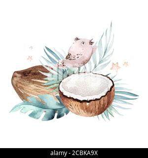 Pittura di acquerello disegnata a mano uccelli e foglie di palma tropicale con Coconuts isolato su sfondo bianco. . Illustrazione della frutta della natura. Eco vegan Foto Stock