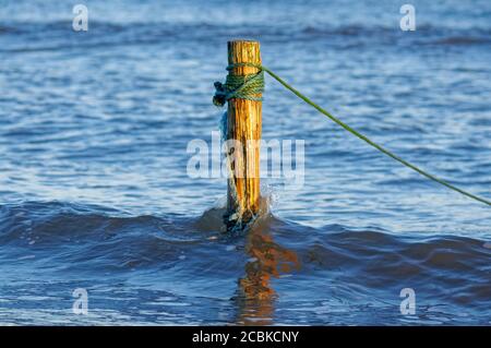 Un palo di legno o posta nelle acque poco profonde di San Ciro utilizzato per ancorare le reti di salmone dei pescatori locali. Foto Stock