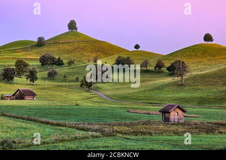 Linden Trees, Neuheim, Hirzel, Zug, Svizzera, Europa Foto Stock