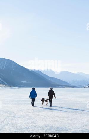 Coppia cani da passeggio in un paesaggio innevato Foto Stock